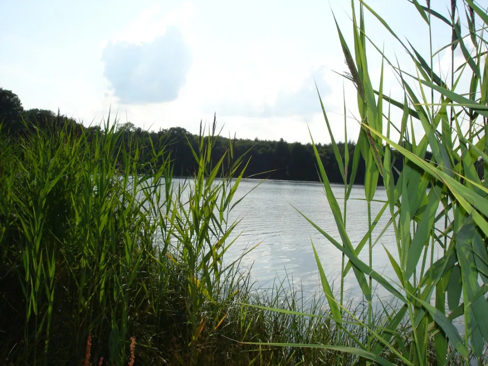 Camping Park Weiherhof