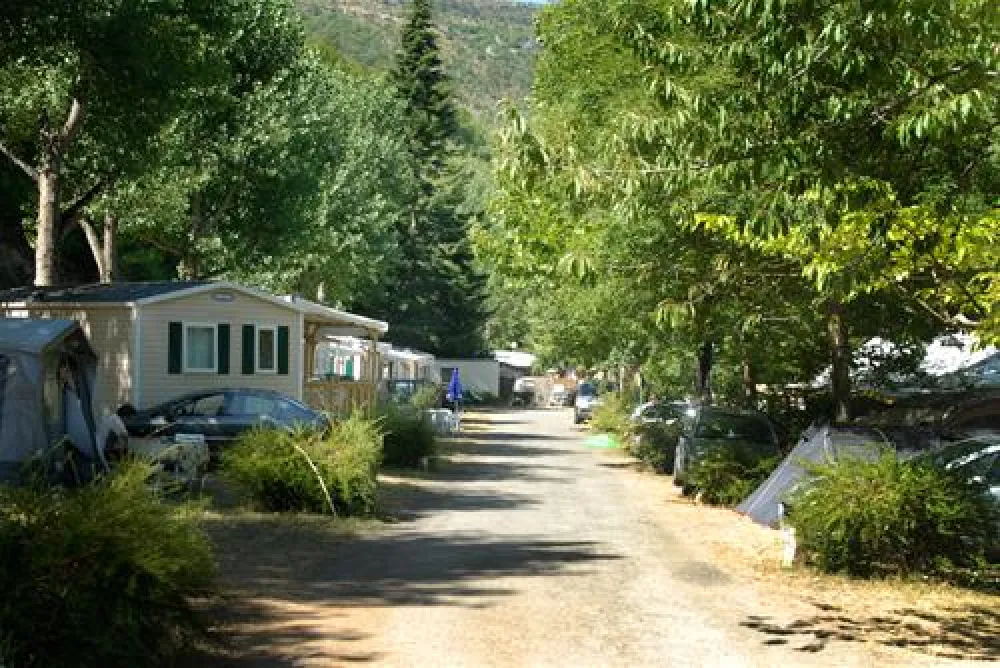 Flower Camping - Le Pont Du Tarn  