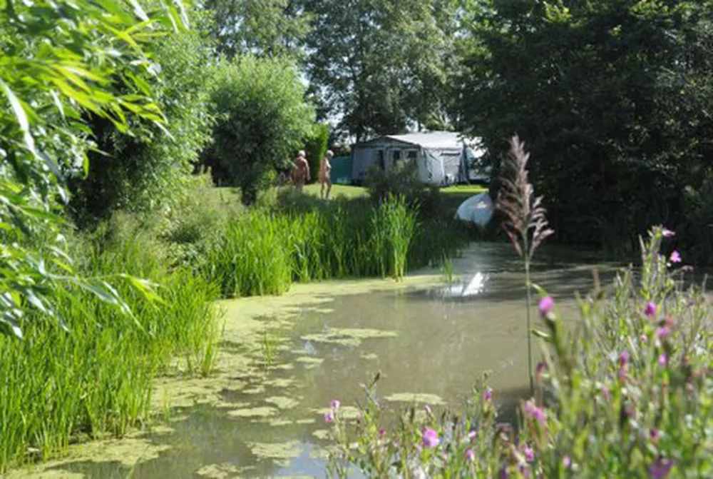 Minicamping Het Zwarte Gat