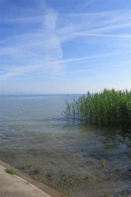 Campingplatz Buchhorn