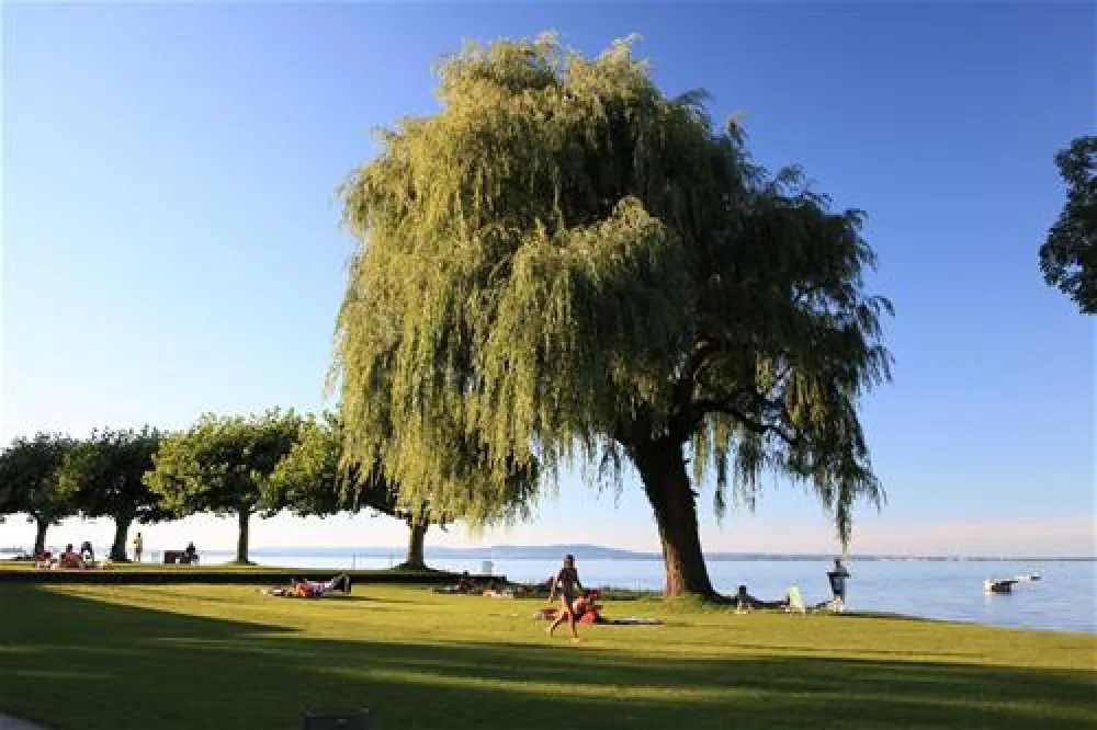 Campingplatz Buchhorn