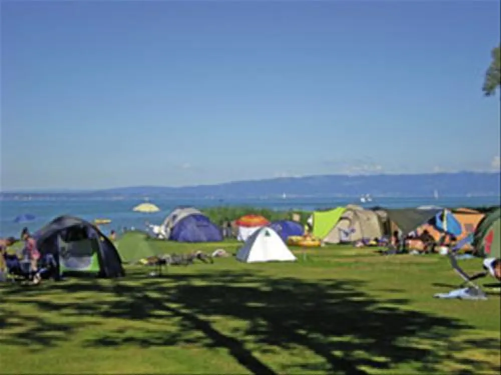 Campingplatz Buchhorn