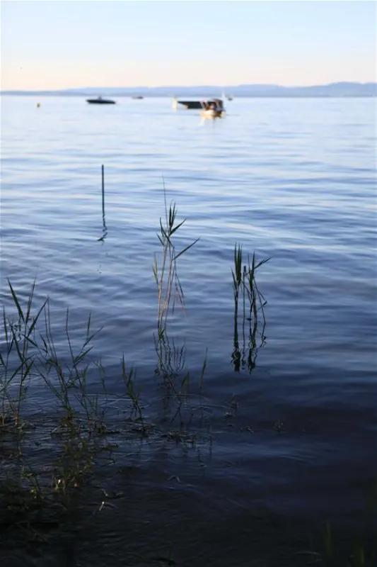 Campingplatz Buchhorn