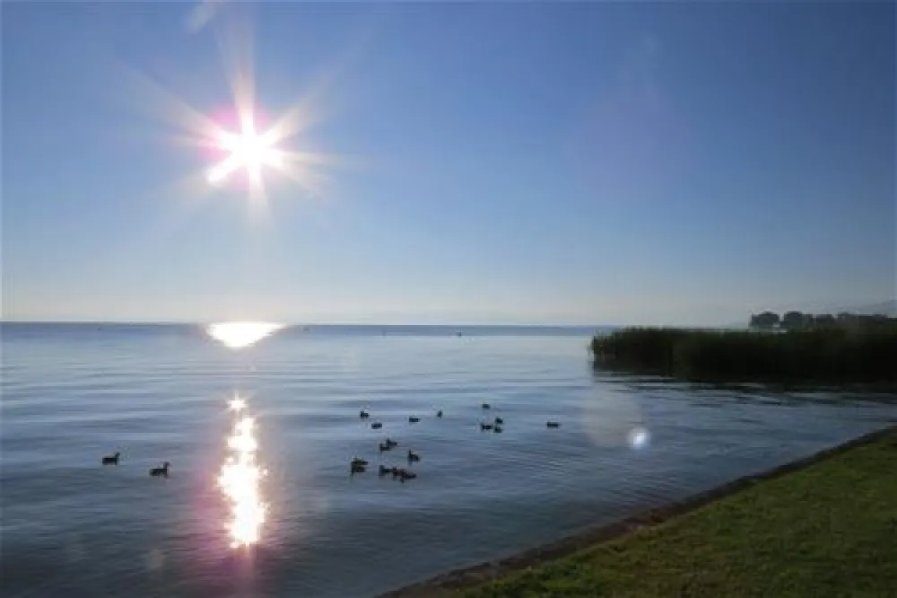 Campingplatz Buchhorn