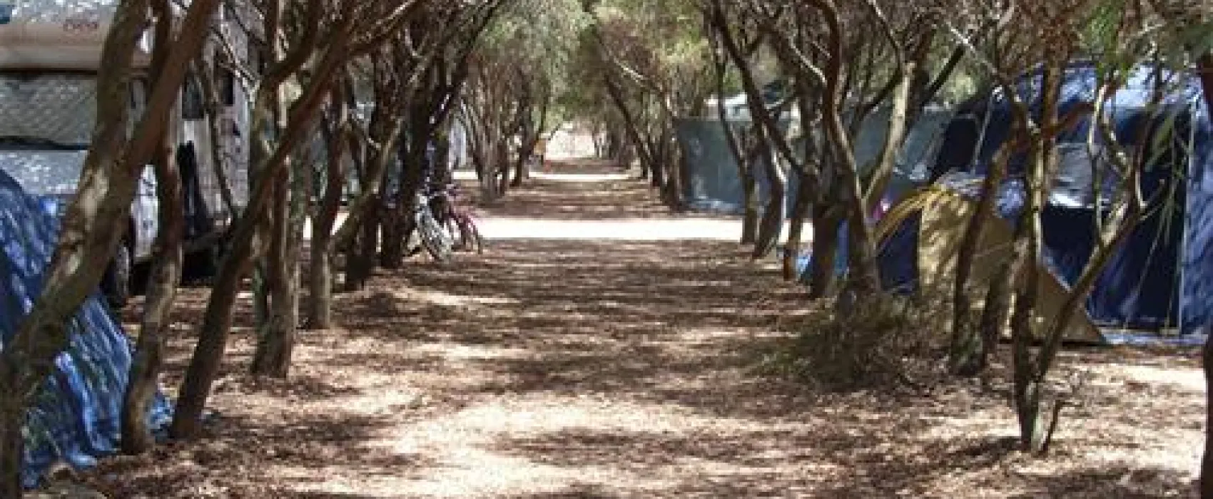 Campeggio Is Aruttas