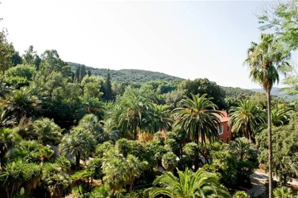 Campeggio Rosselba le Palme