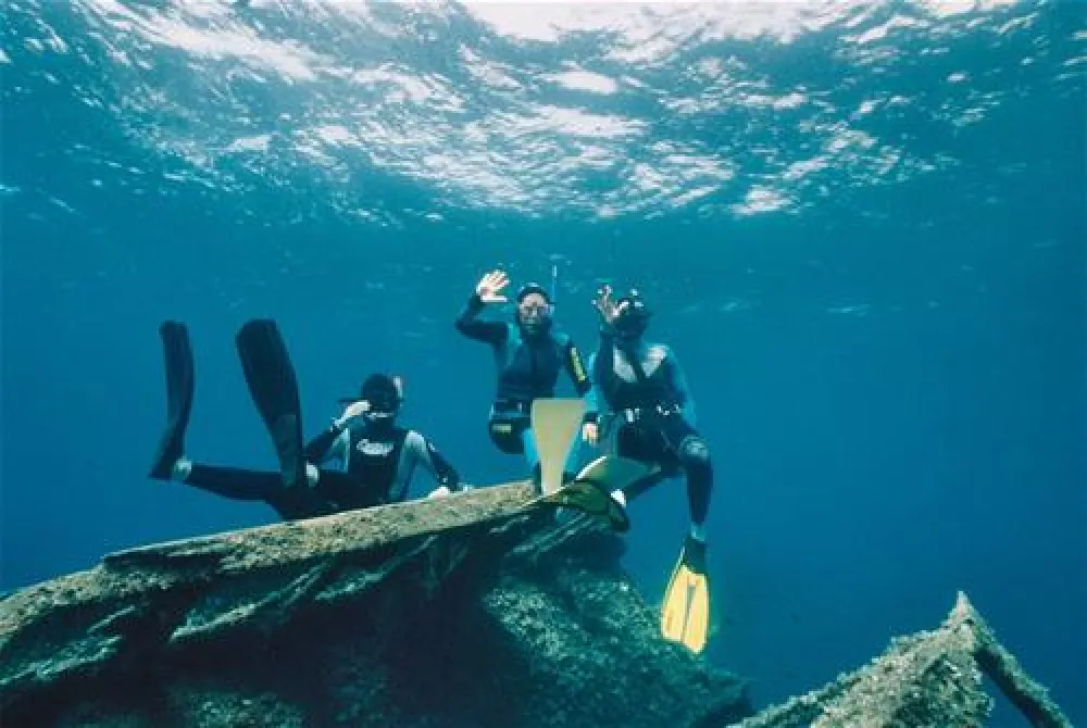 Campeggio Rosselba le Palme