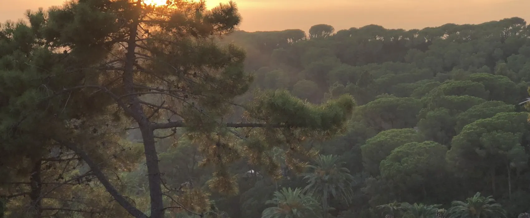 Campeggio Rosselba le Palme