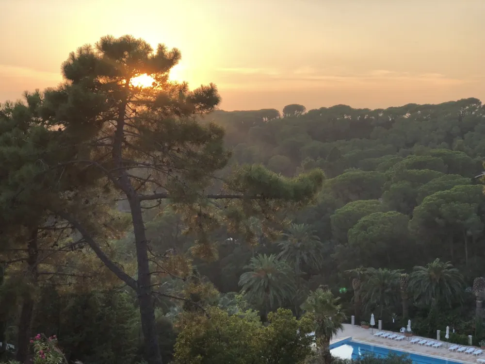 Campeggio Rosselba le Palme