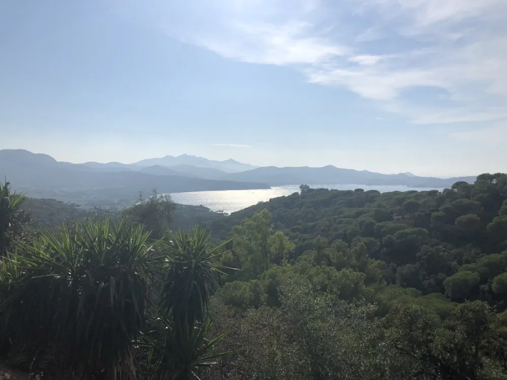 Campeggio Rosselba le Palme