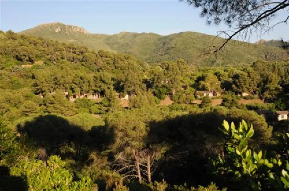 Campeggio Rosselba le Palme