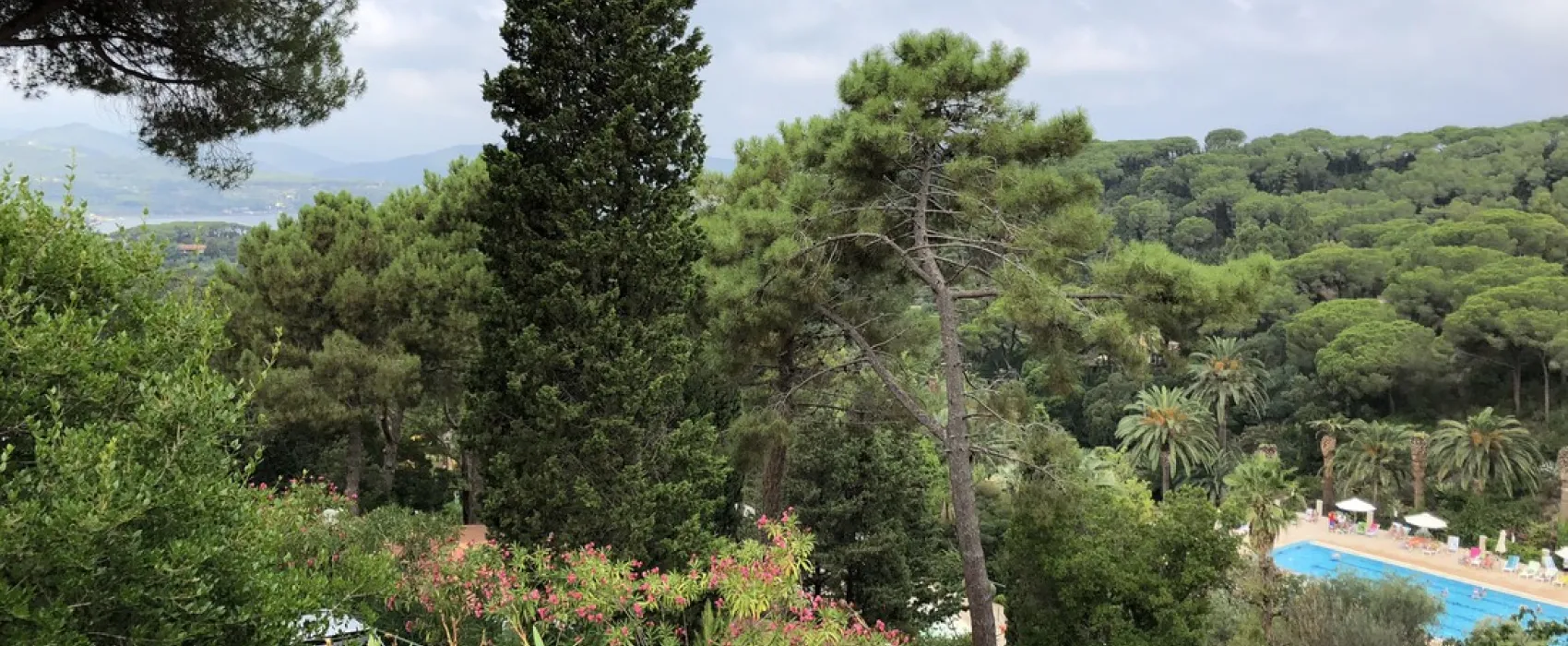 Campeggio Rosselba le Palme