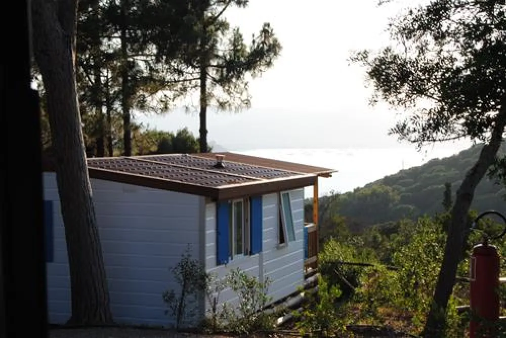 Campeggio Rosselba le Palme