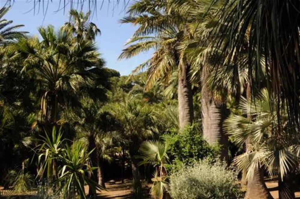 Campeggio Rosselba le Palme