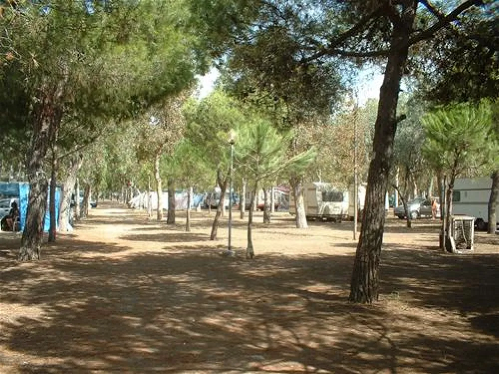 Camping Lido Tellina