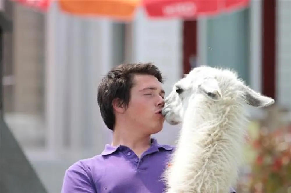 Yelloh! Village Les Vikings  