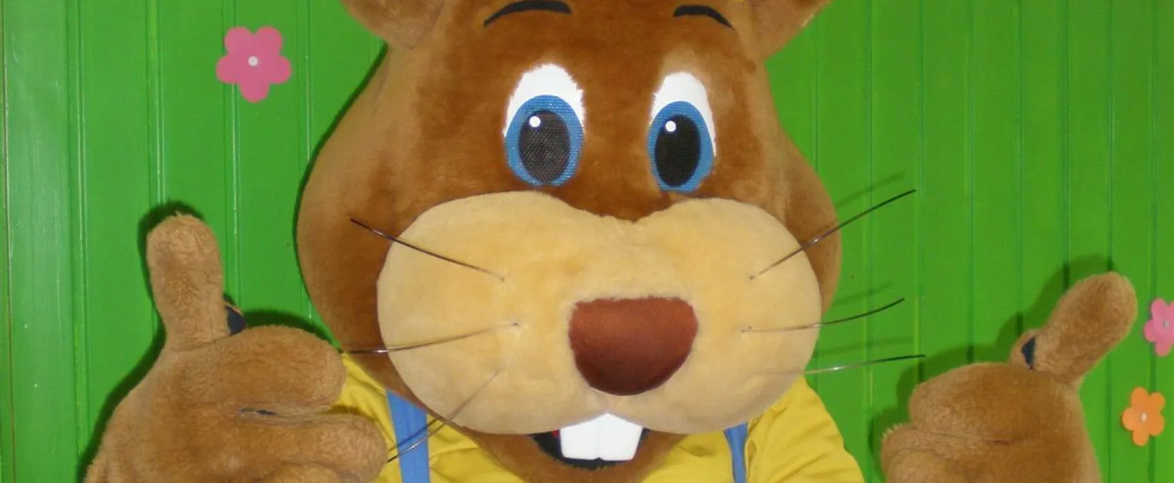 Camping De Katjeskelder