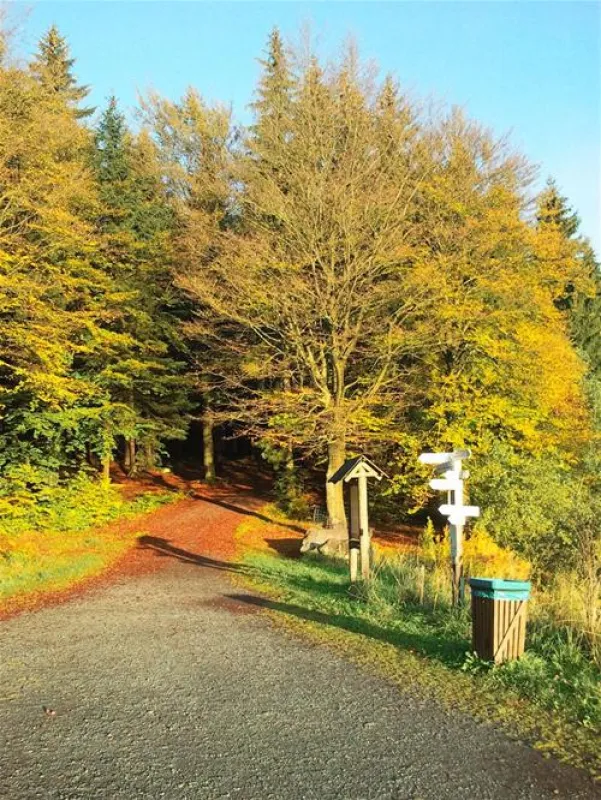 Campingplatz Fichtelsee