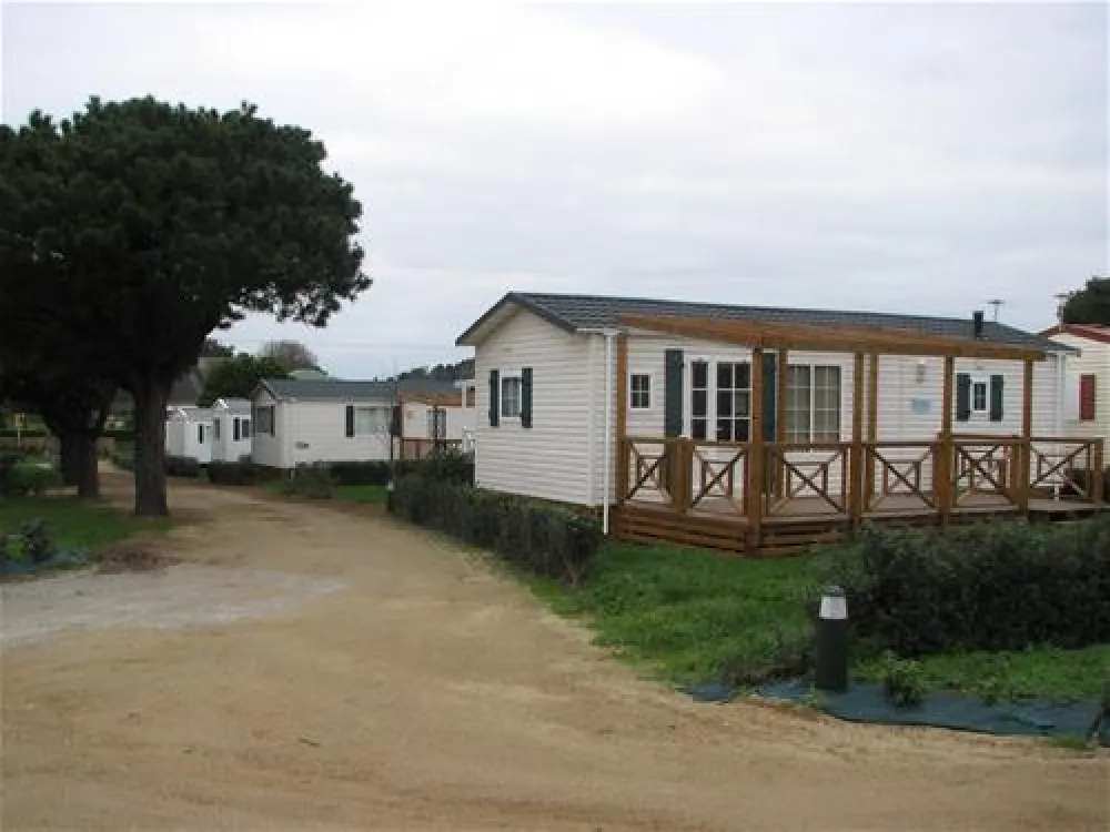 Camping les Palmiers***