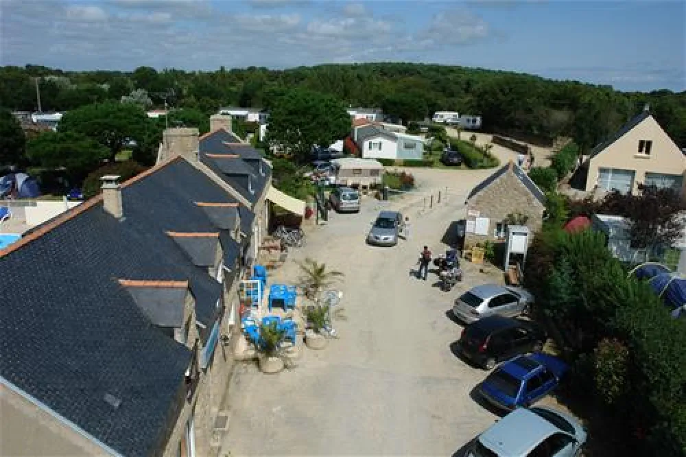 Camping les Palmiers***