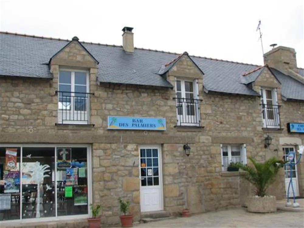 Camping les Palmiers***