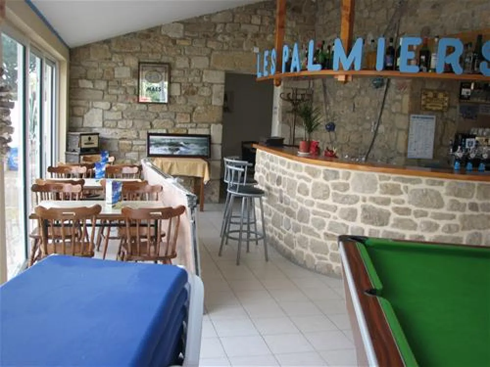 Camping les Palmiers***