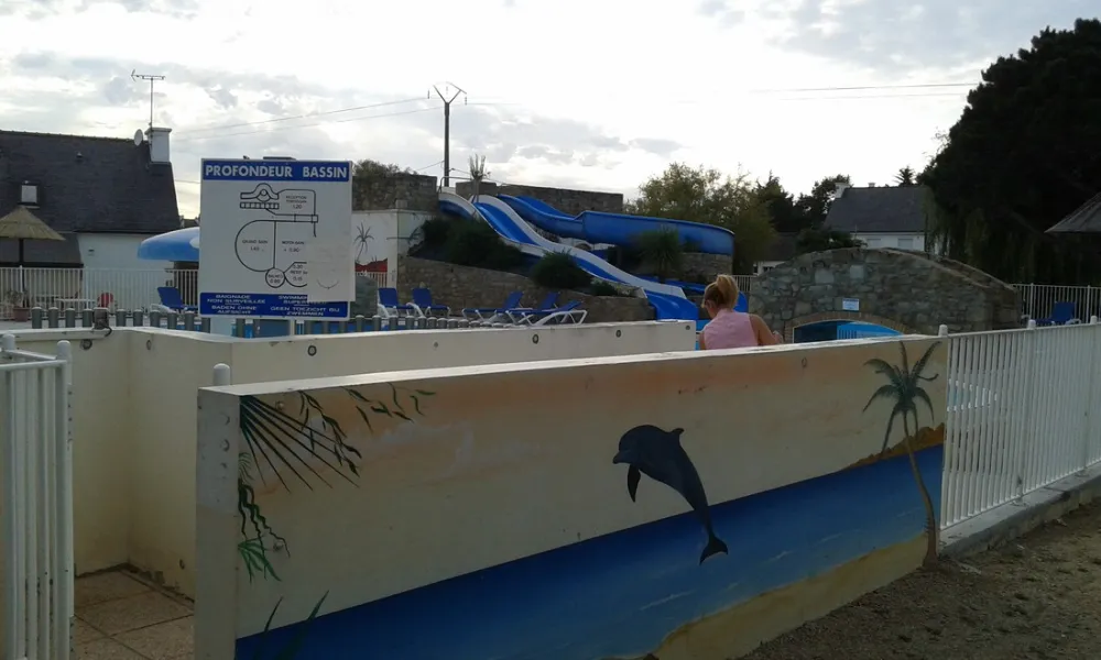 Camping les Palmiers***