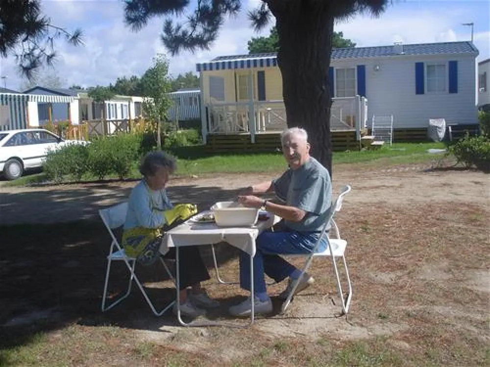 Camping les Palmiers***