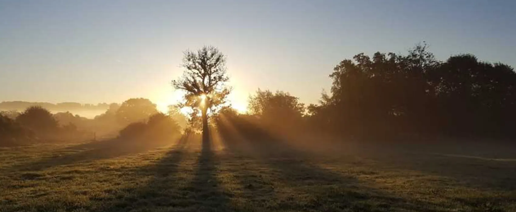 Piccadilly Caravan Park