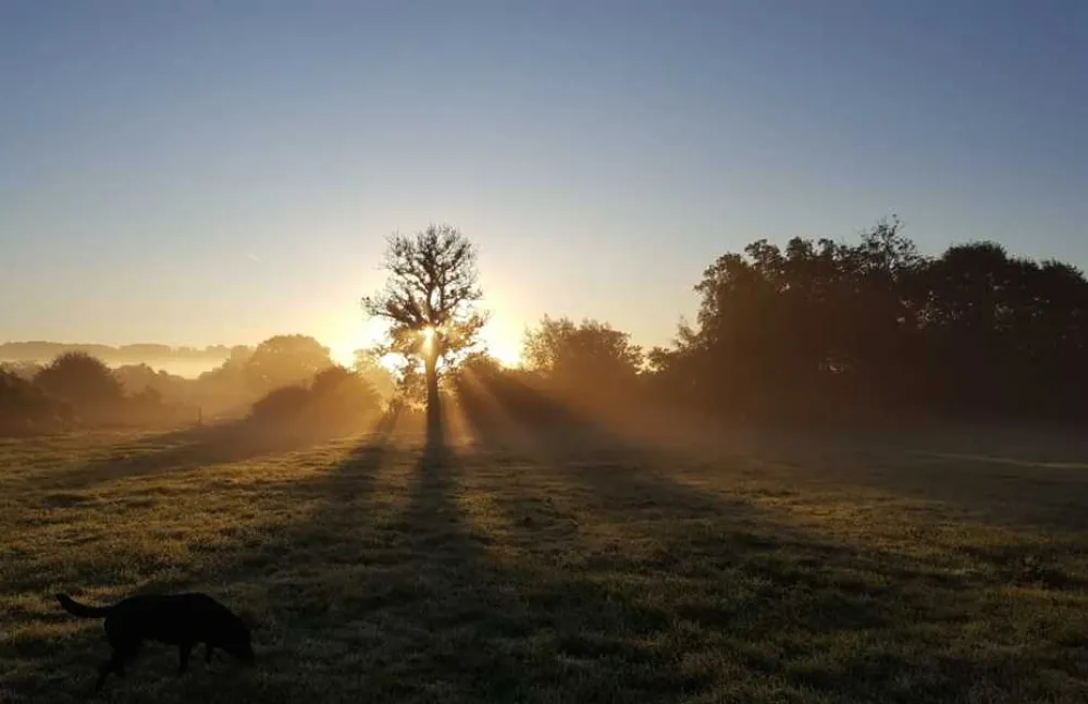 Piccadilly Caravan Park
