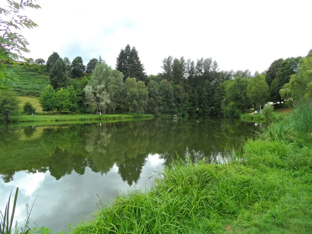 Flower Camping Le Paluet