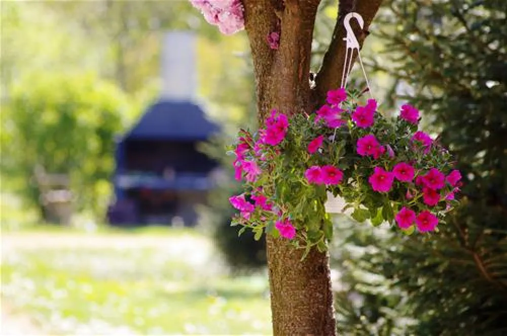 Camping Route Roemenie