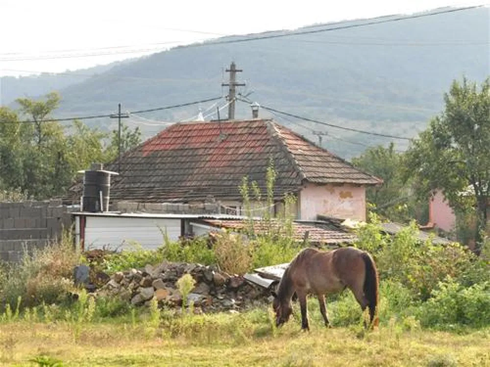 Camping Route Roemenie