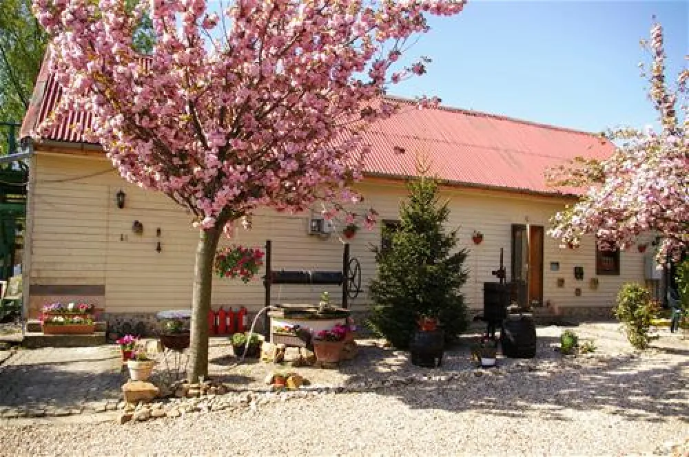 Camping Route Roemenie