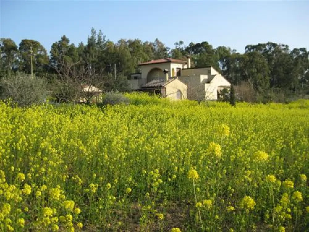 Camping Orti di Mare