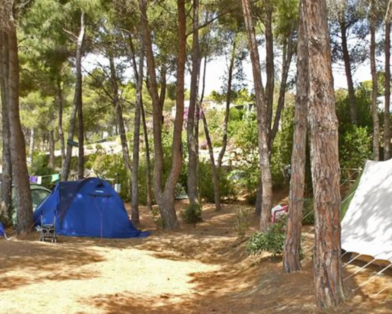 camper vorhang Makramee Vorhang – Knotenliebe