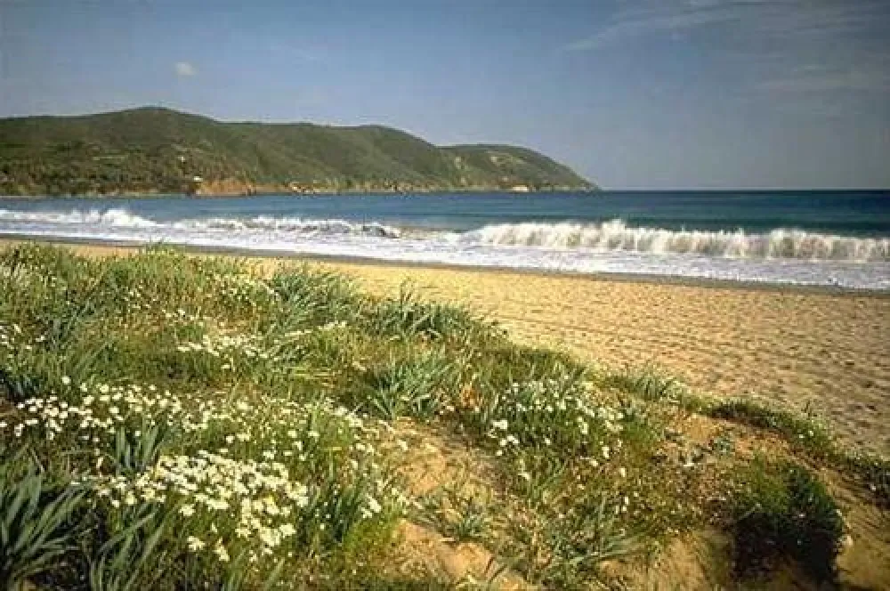 Camping Orti di Mare