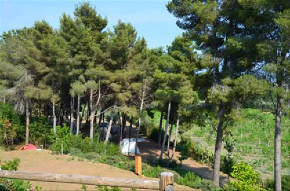 Camping Orti di Mare