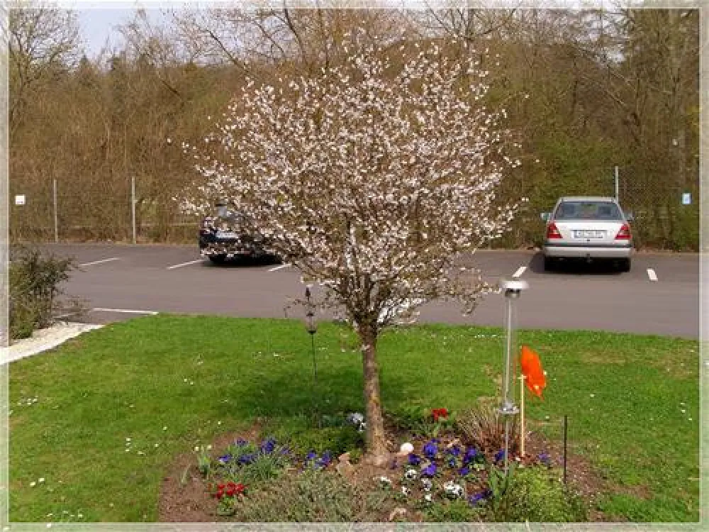 Camping-Park Bad Kissingen