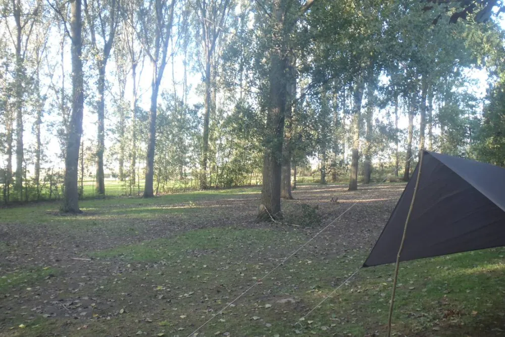 Camping L'orée du Parc - Le Fleury