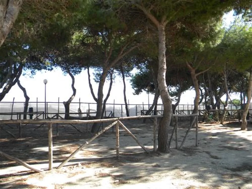 Agricampeggio Capo Scalambri