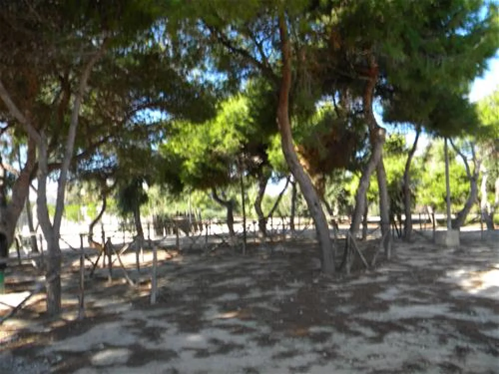 Agricampeggio Capo Scalambri