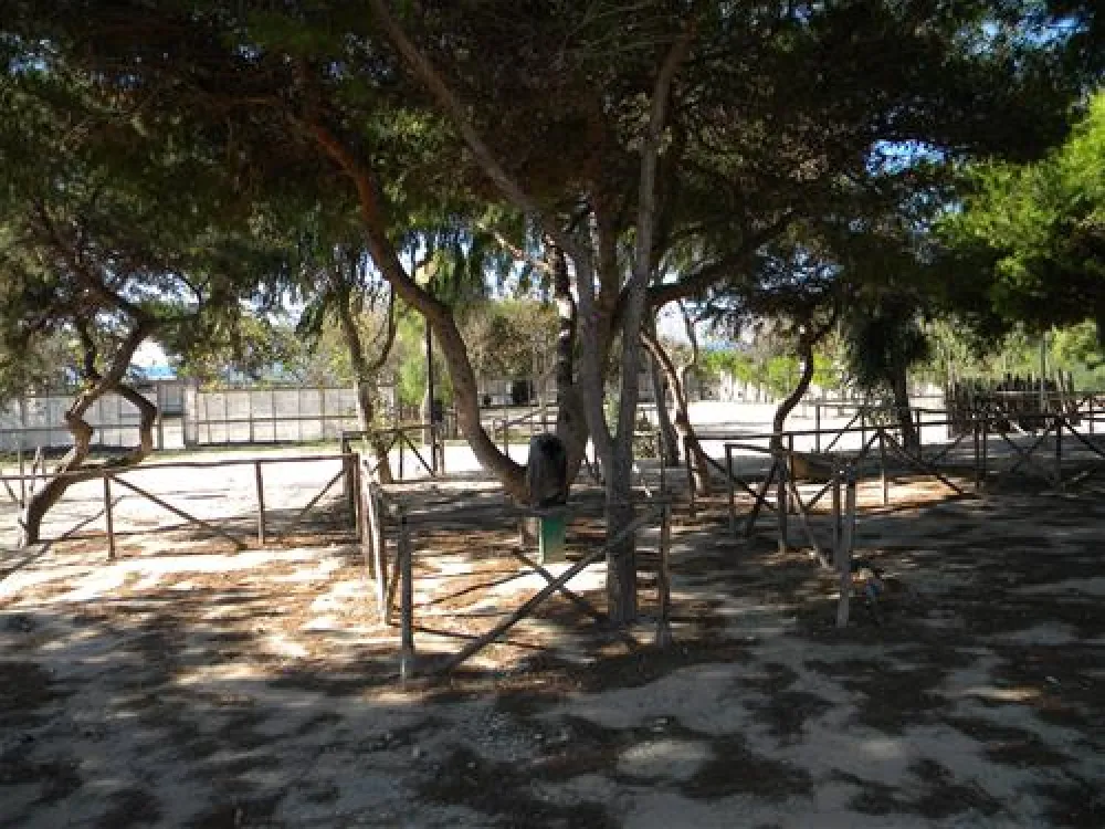 Agricampeggio Capo Scalambri