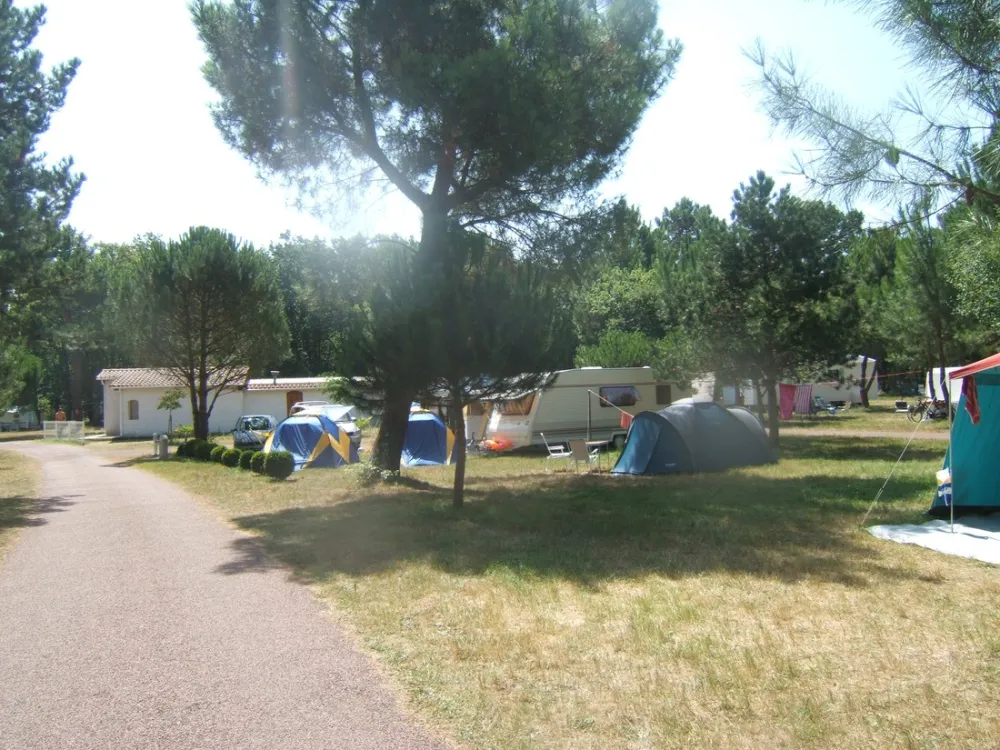 Camping Atlantique-foret