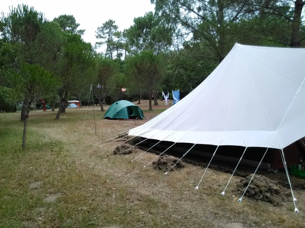 Camping Atlantique-foret