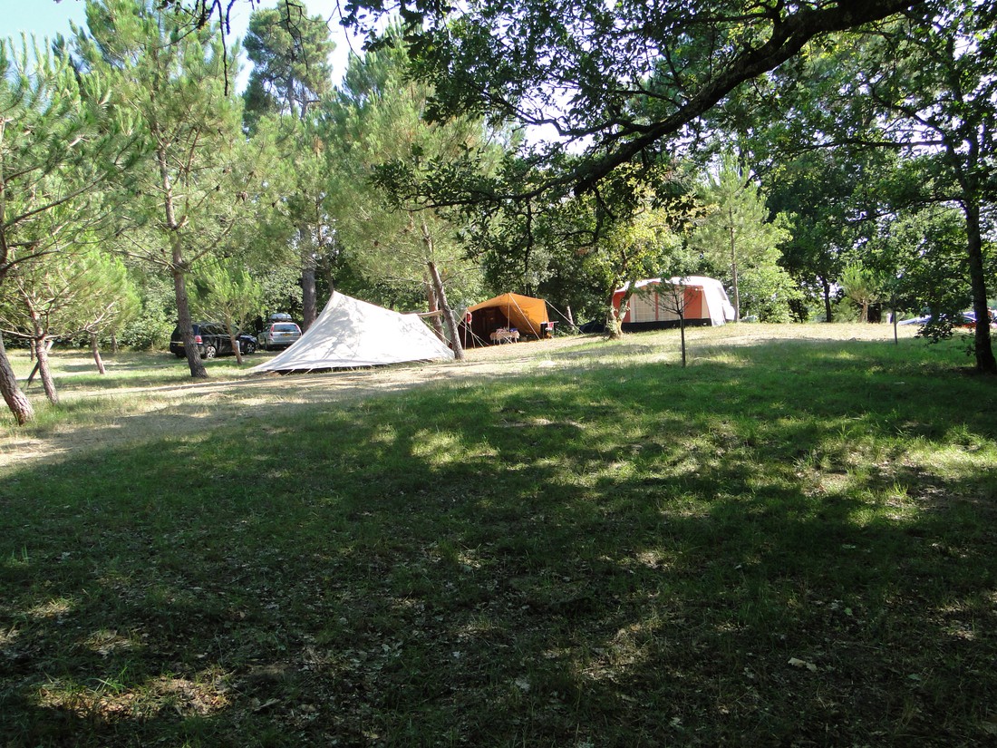 Camping Atlantique-foret photo 4