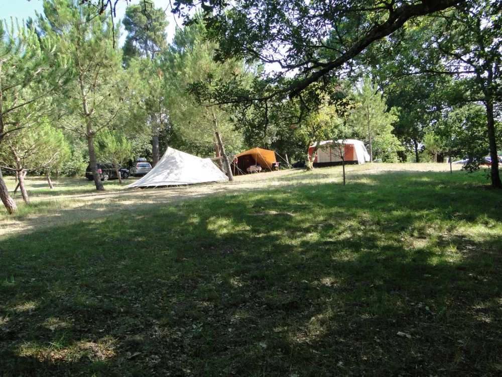 Camping Atlantique-foret