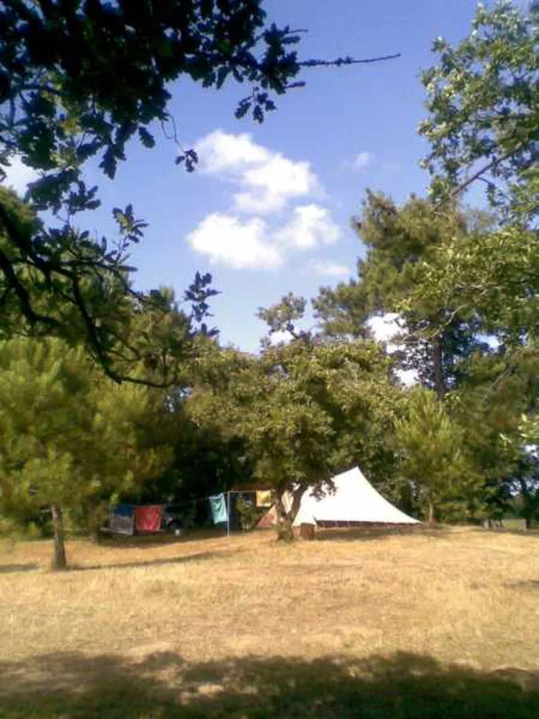 Camping Atlantique-foret