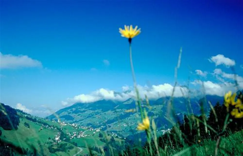 Panorama Camping Sonnenberg