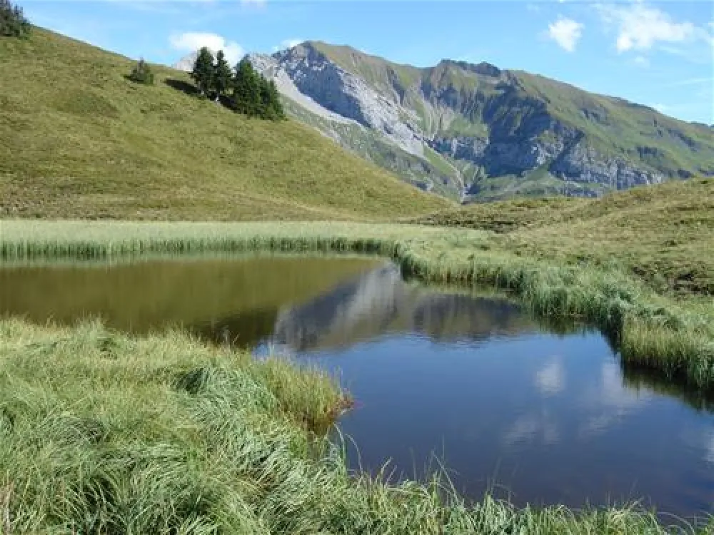 Panorama Camping Sonnenberg